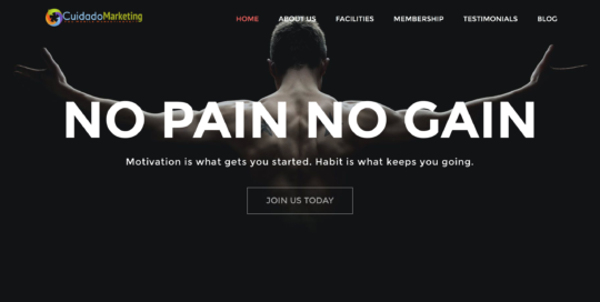 Cuidado Marketing Sudbury Web Development Template 02