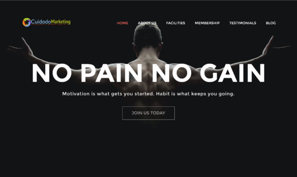 Cuidado Marketing Sudbury Web Development Template 02
